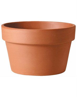 Southern Patio 10.5" Azalea Clay Pot