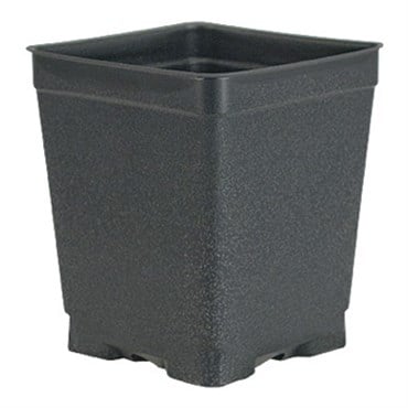 DILLEN DSQVP45PF/D 04.50 SQUARE PF PRESS FIT VAC POT DEEP BLACK 375 PER CASE 28 CASES PER PALLET