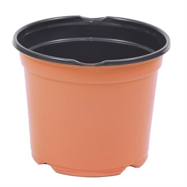 JAN 19CM L 08.00 POT BLK/TC 360/CS 16CS/PL