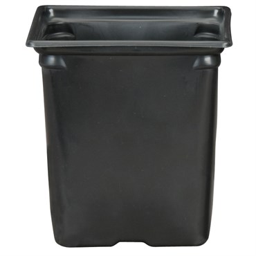 DLN M6 SQ COEX BLK/BLK 468/CS 36CS/PL