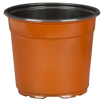 DLN 17.00 CM EURO POT COEX TALL TC 294/CS 32CS/PL