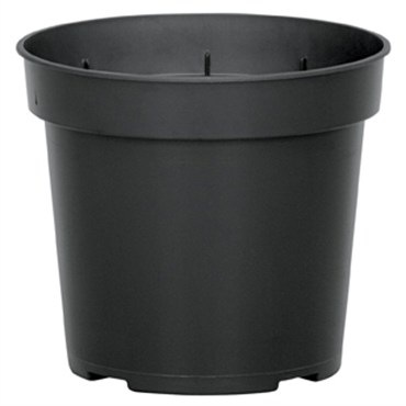 DLN 04.50 RND GER T/W BLK 850/CS 38CS/PL