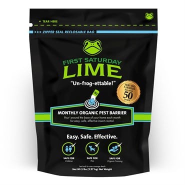 First Saturday Lime 5