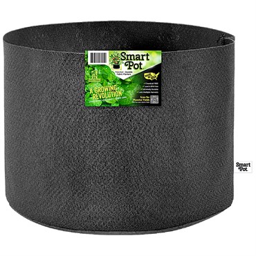 Smart Pot 20gal Black Bulk Box