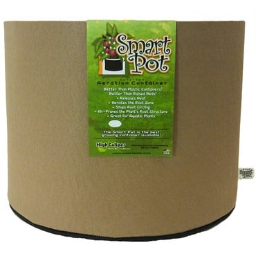 Smart Pot 10gal Tan Bulk Box