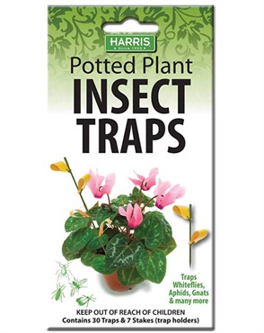 Harris 30ct Potted Plant Insect Traps w/ 7 Stakes