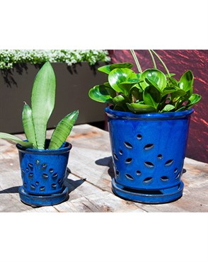 Verandah 7.5" F Blue Waikiki Orchid Pot