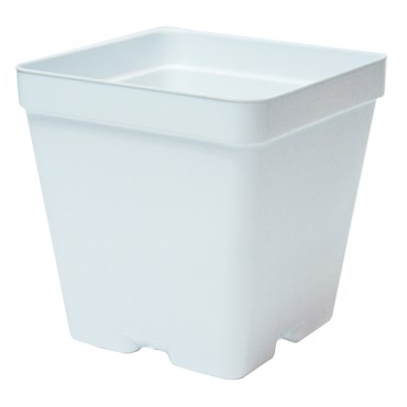 T. O. Plastics 03.25 Press Fit Pot Square Vacuum Deep 325 White 450 Per Case 48 Cases Per Pallet Minimum Order Quantity Needed 96 Cases Use With 705119C Tray Minimum Order Quantity 96 Cases