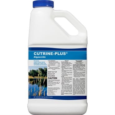 Cutrine Plus 1Gl (4/Cs) ORM-D ( copper ethanolamine )