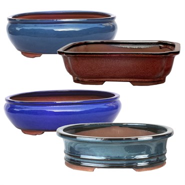 MCarr 4PC 12" Bonsai Planter Set Mixed Colors