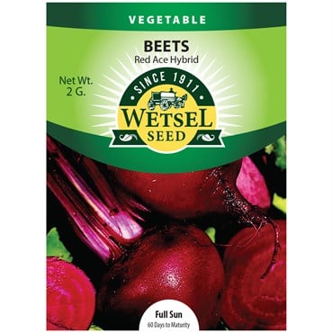 Beets, Red Ace Hyb - 2 Gram