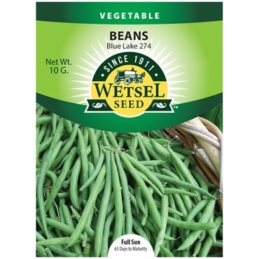 Beans, Blue Lake 274 Bush - 10 Gram