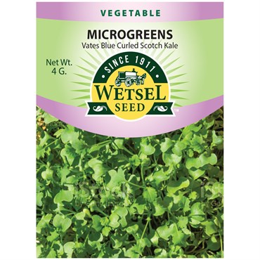 Microgreens, Vates Blue Curled Scotch Kale - 4 Gram