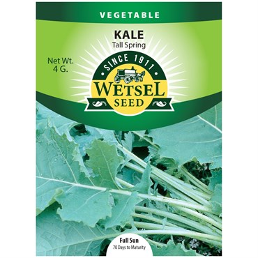 Kale, Tall Spring - 4 grams