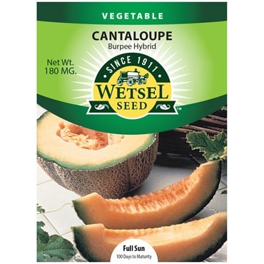 Cantaloupe , Burpee Hybrid - 180 mg