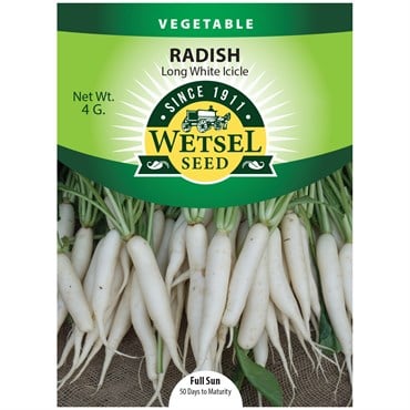 Radish, Long White Icicle - 4 grams