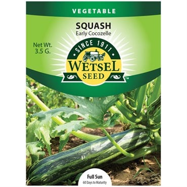SQUASH, EARLY COCOZELLE 3.5 G