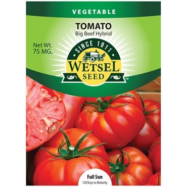 Tomato, Big Beef - 75 Mg