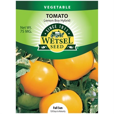 Tomato, Lemon Boy Hyb - 75 MG