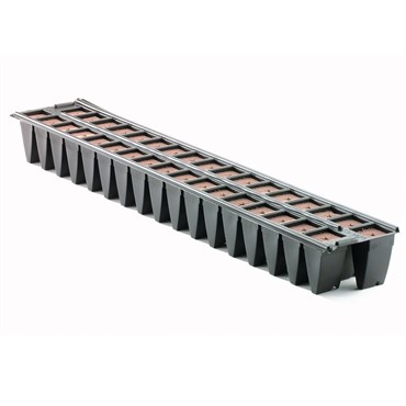 SMO OASIS 5625 WEDGE 34CT DBL STRIP 2448/CS 16CS/PL