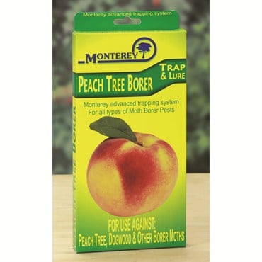 Monterey Peach Tree Borer Trap & Lure