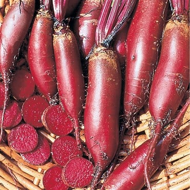 BEETS, CYLINDRA 1/2 LB EACH