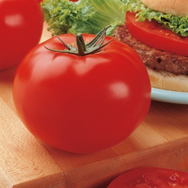 Tomato, Big Beef Untreated - 5000 Sd Ct