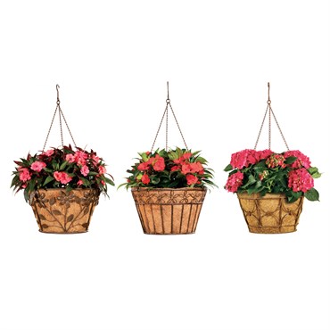 Deer Park Hanging Basket Variety Pk 2 Floral Daisy Ribbon Arch