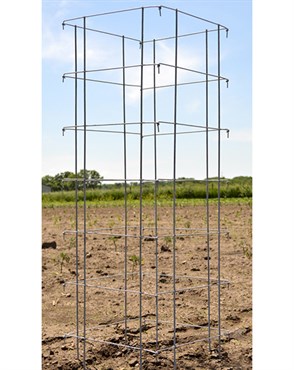 Midwest Wire Works 58" Heavy Duty Square Cage