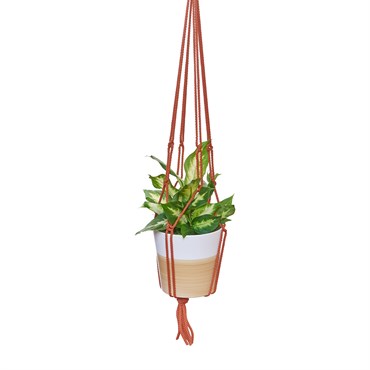 Primitive 36" Rust Macrame Plant Hanger