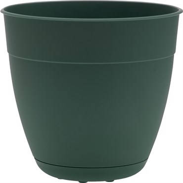 Bloem 6" Dayton Planter Turtle Green