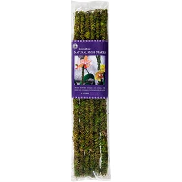 SuperMoss 18" Natural Moss Stakes 6pk