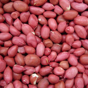 Beans, Red Peanut Bush - 1/2lb