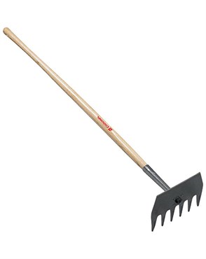Corona Mcleod Hoe