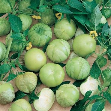 Tomatillo, Verde - 10,000 Seed Count