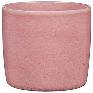 Scheurich 5" Rosea 900/13 Planter