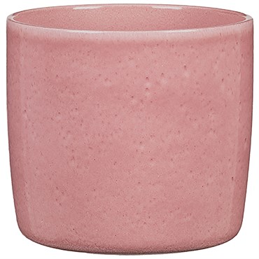 Scheurich 6" Rosea 900/15 Planter