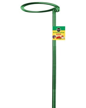 Miracle Gro 6"x36" Gathering Ring Green 3pk