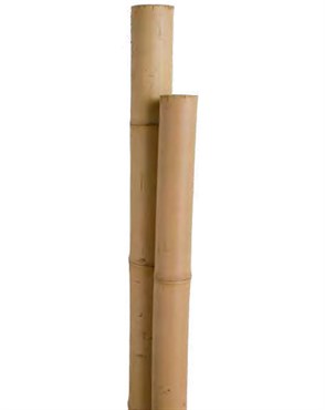 Miracle Gro 6'x1-1/4" Super Pole 3pk