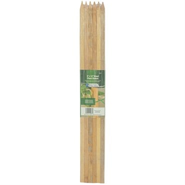 Gardener's Blue Ribbon 6pk 2'x1/2" Wood Stake