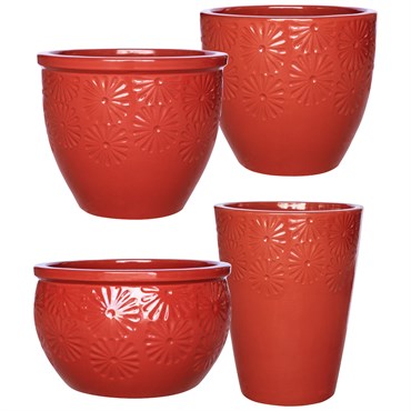 MCarr 26pc Mixed Daisy Planter Pallet Red