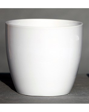 Palm Spring 6.5" Pc Lily Cache GWH