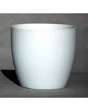 Palm Spring 7.5" Pc Lily Cache MLB