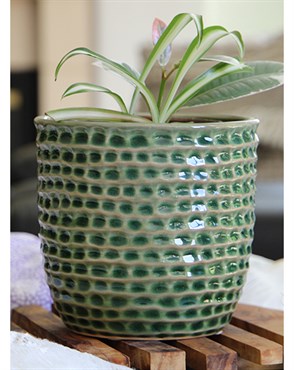 Palm Spring 7.5" Honey Comb Planter Emr
