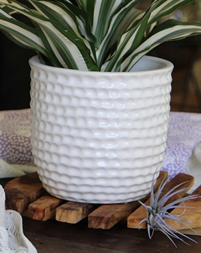 Palm Spring 7.5" Honey Comb Planter Mwh