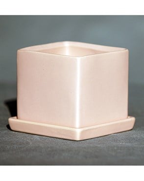 Palm Spring 4.5" Cube Pot with Ds Mpk