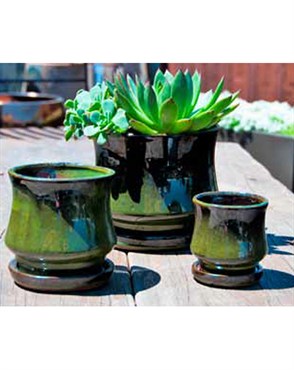 Verandah Lily Pot Size A Tgn