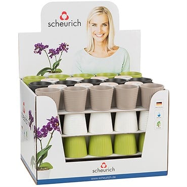 Scheurich 2.75" Expressive Assorted 937/07 Planter