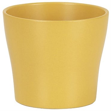 Scheurich 4.25" Curcuma 808/11 Planter
