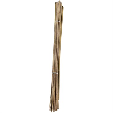 A&G 5/8"x6' Bamboo Stake